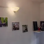 Appartamento Casa Mino *